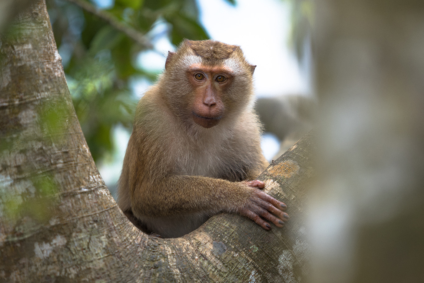 voyage thailande blog 10