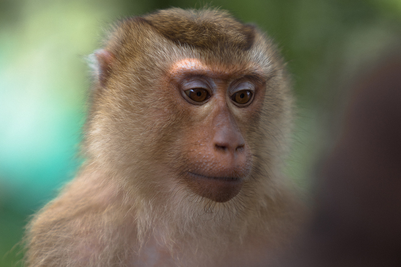 voyage thailande blog 8