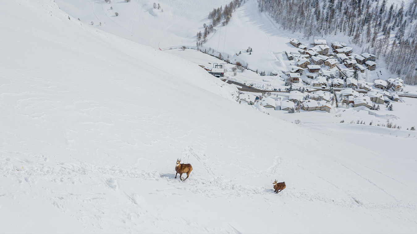 Reportage photo immobilier val d'isère chalet luxe 43