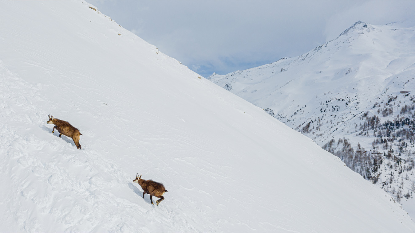 Reportage photo immobilier val d'isère luxe 42