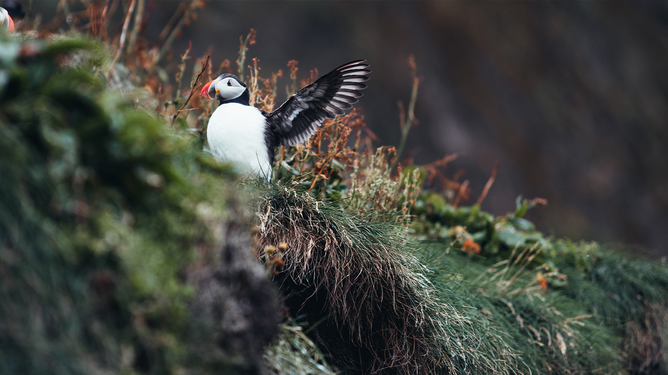 voyage photographe produit islande blog 19